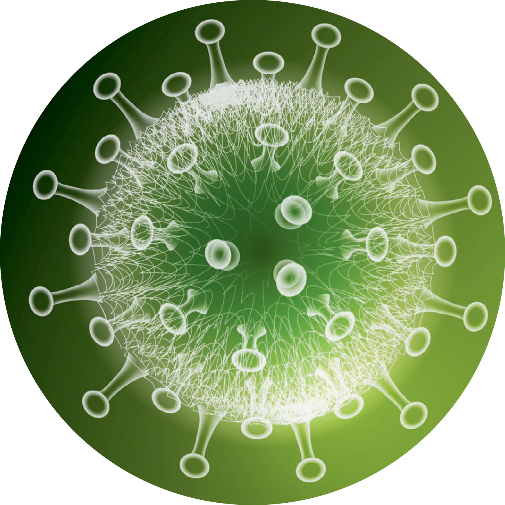 illustratie (kleur) Covid-19  virus IStock 