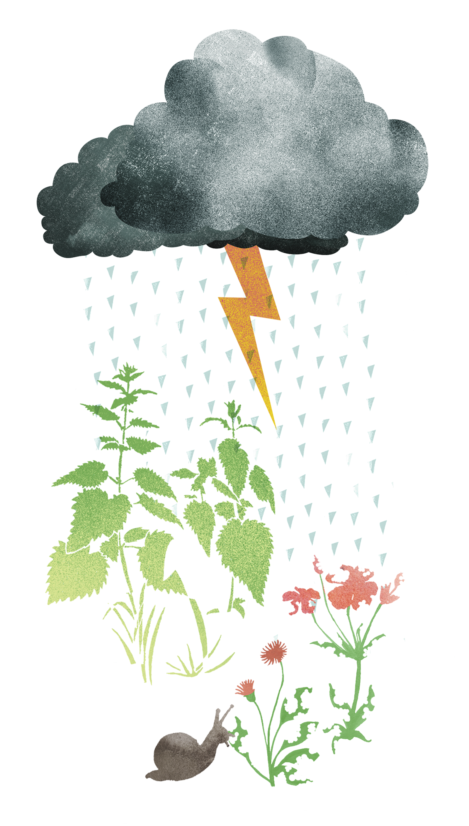 Illustratie (kleur) Aandacht voor geluk regen&natuur